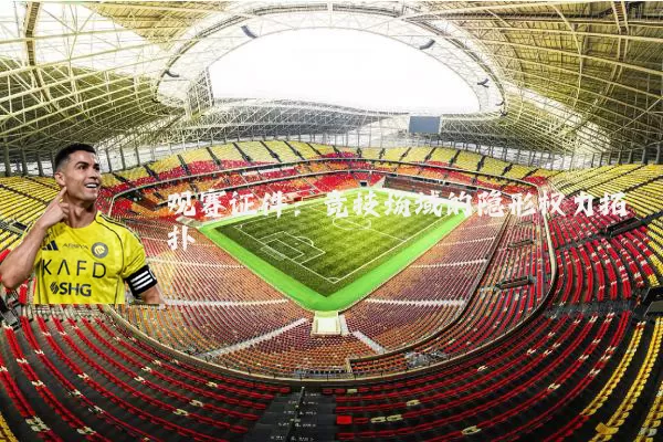 观赛证件:竞技场域的隐形权力拓扑